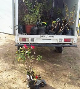 Camioneros ayudan a damnificados por incendios en el Sur